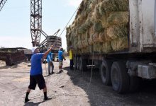 Нуротановцы отправили в Мангистау корм для голодающей скотины