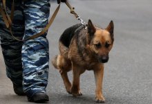 Мужчина заявил о бомбе на заводе, желая отомстить бывшему начальнику в Атырау