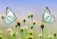 Спад жары: прогноз погоды в Казахстане на три дня