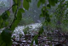 Грозы и град: в девяти областях Казахстана объявили штормовое предупреждение