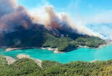 Лесные пожары в Турции: казахстанцы помогают местным жителям