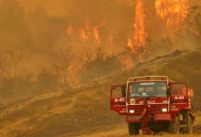В Турции выросло число погибших в лесных пожарах