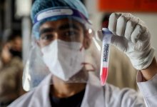 Откуда появляются новые штаммы коронавируса: ученые дали утверждающий ответ