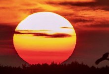 Жара до +45-46 градусов ожидается в Казахстане