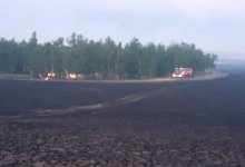 Крупный пожар в Акмолинской области: огонь охватил 40 гектаров площади лесхоза
