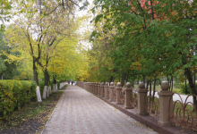 Улица Петропавловска достойна Книги рекордов Гиннесса