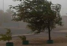 Сильный ветер и грозы ожидаются в восьми областях Казахстана