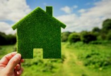 Бесплатно раздать землю собираются в Петропавловске