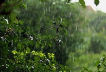 Штормовое предупреждение объявили синоптики в 11 областях Казахстана