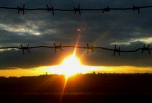 Фальшивую справку о ПЦР-тестировании для свидания в тюрьме купил казахстанец