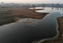 Общественники Нур-Султана просят не осушать озеро Талдыколь