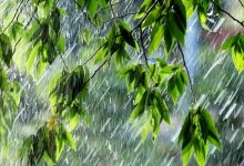 Снег, дождь и грозы: в девяти областях Казахстана объявили штормовое предупреждение