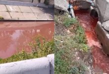 Это катастрофа: алматинцы испугались красной воды в реке города