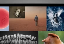 Опубликованы лучшие фотографии 2021 года со всего мира