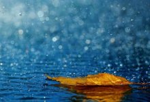 Дожди и пыльные бури ожидаются в ближайшие дни в Казахстане