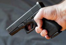 Охотился с балкона: мужчина стрелял по лошадям, не выходя из дома