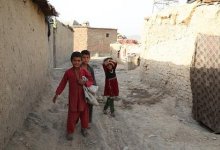 Греция возвела стену на границе с Турцией из-за афганцев