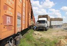 #BizBirgemiz: Нуротановцы помогают пострадавшим от засухи фермерам