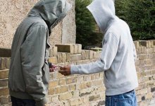 В Нур-Султане задержали наркоторговца с 19 килограммами марихуаны