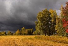 В Казахстане похолодает до +7 градусов