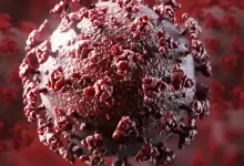 Новый быстрораспространяющийся штамм коронавируса обнаружили в ЮАР