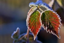 Грозы и сильное похолодание обещают синоптики в Казахстане