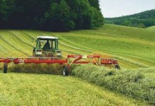 Заготовка кормов – на контроле