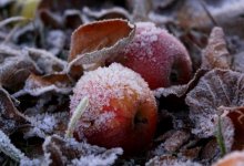 Начало сентября будет холодным в центре, на востоке и севере Казахстана