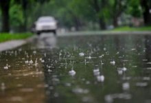 Заморозки и дожди: прогноз погоды в Казахстане на три дня