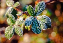 На западе и севере Казахстана сильно похолодает