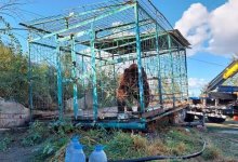 Что станет с медведицей, укусившей пятилетнюю девочку в Костанайской области