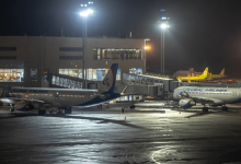 В аэропорту Алматы кот сбежал от сотрудников и парализовал рядом стоящую стройку