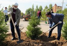 В Нур-Султане запустили экоакцию по посадке деревьев