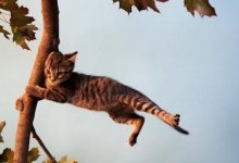 Сильный ветер и заморозки: в 10 областях Казахстана объявили штормовое предупреждение