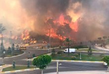 Крупный лесной пожар тушат в Анталии