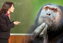 В Шахтинске наказали завуча школы, которая назвала детей тупыми обезьянами