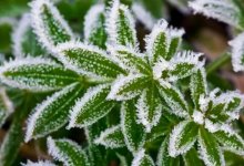 Синоптики сообщили, в каких регионах Казахстана сильно похолодает