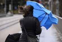 Сильный ветер и заморозки прогнозируются в некоторых областях Казахстана