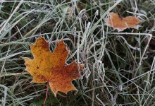 В Казахстане похолодает до +1 градуса: прогноз погоды на три дня