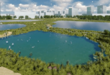 Скандал с Малым Талдыколем: в акимате Нур-Султана рассказали об очистке озера