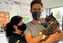 Пропавший 10 лет назад кот вернулся к хозяевам