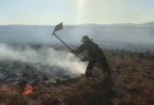 Трое мужчин пострадали из-за степного пожара в Карагандинской области