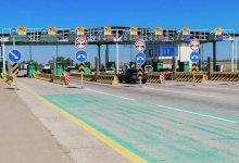 Астанчанка сбила лося на трассе: суд может наказать начальника участка дороги