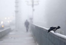 В 10 областях Казахстана объявили штормовое предупреждение