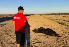 США поможет мангистауским фермерам, пострадавшим от засухи