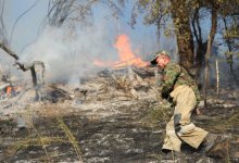 Близ Коктобе произошел пожар (видео)
