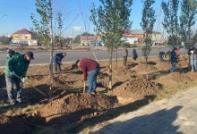 Коммунальный субботник прошел в Нур-Султане: сколько участвовало людей и что удалось сделать