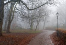 В девяти областях Казахстана объявили штормовое предупреждение