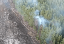 Почти сутки горят леса в Алматинской области