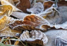 Туман и снег: какой будет погода в Казахстане